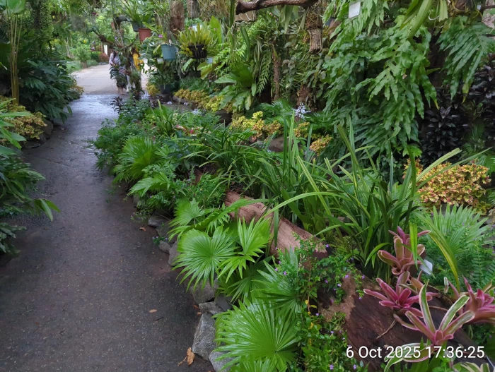 The Lush Botanical Gardens of Siem Reap