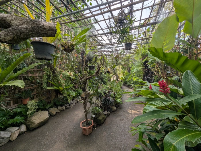 The Path Out Of Angkor Botanical Gardens