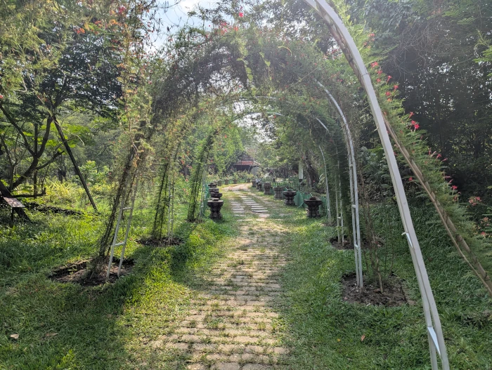 A Beautifully Developed Path at Angkor Botanical Gardens